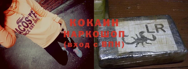 СК Алексин