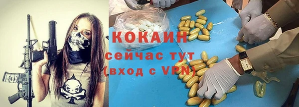 СК Алексин