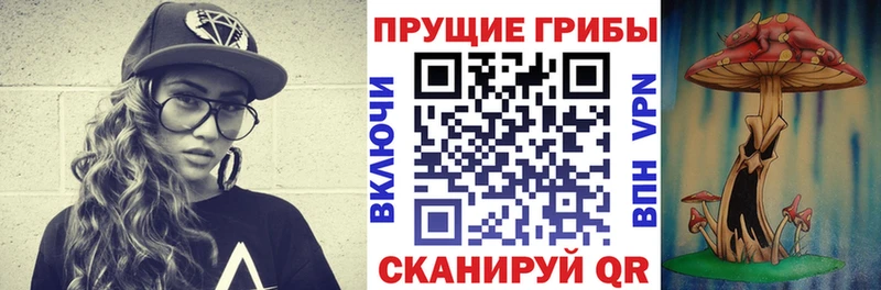 Псилоцибиновые грибы Magic Shrooms  где найти   Урюпинск 